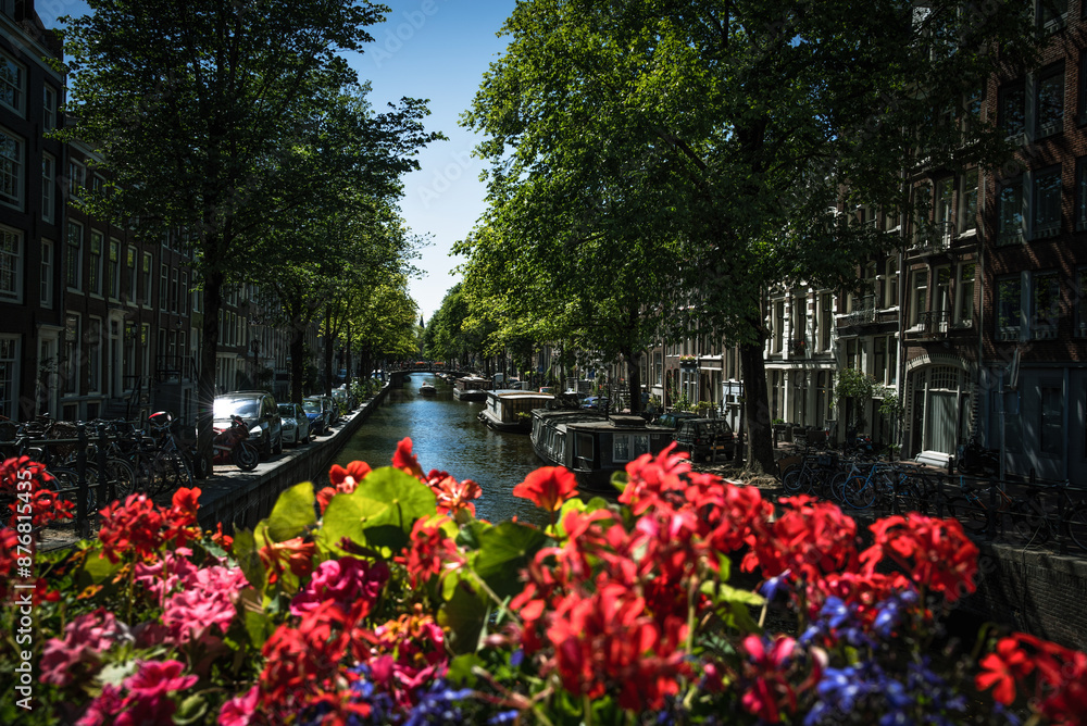 Obraz premium Summer Blooms overlooking the Canals of Amsterdam - Netherlands