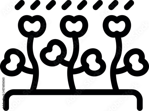 Simple black line icon of cotton plants growing under the rain
