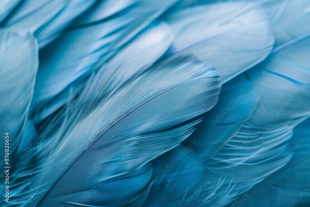 A macro shot showcasing the delicate texture of blue bird feathers A macro shot showcasing the delicate texture of blue bird feathers