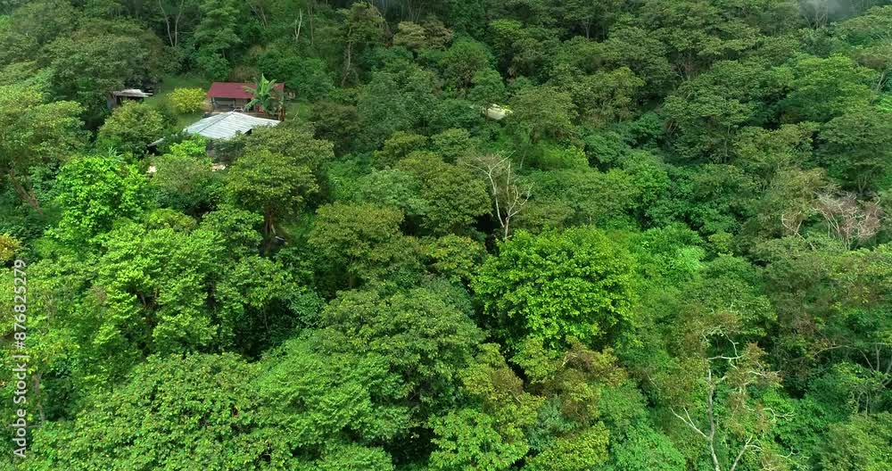 Small simple village houses scattered in a tropical jungle in Amazon Rainforest. Small simple village houses scattered in a tropical jungle in Amazon Rainforest.