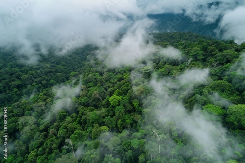 A drone perspective of the cloud forest canopy and over story in the Talamanca Mountains and Volcan Baru National Park