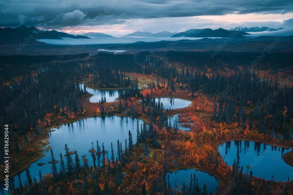 Obraz premium Aerial photography from a drone over the boreal forest, also known as taiga, along looking toward the Alaska Range in the distance.