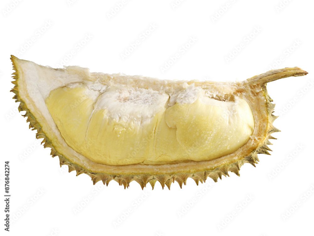 Break off the fresh durian flesh of summer Break off the fresh durian flesh of summer