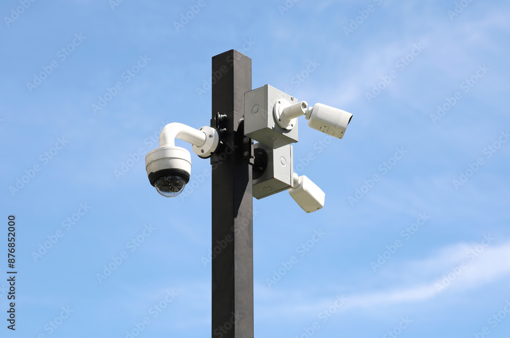 Tree security cameras on pole with blue sky background. Tree security cameras on pole with blue sky background.