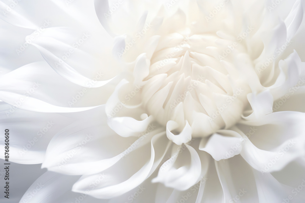 white background, smooth background white background, smooth background