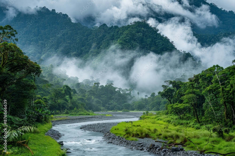 Rio Caldera flowing out of Panama Cloud Forest Rio Caldera flowing out of Panama Cloud Forest