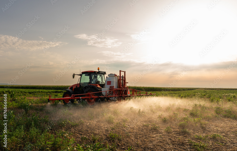 Obraz premium Tractor sprays field with pesticides in summer