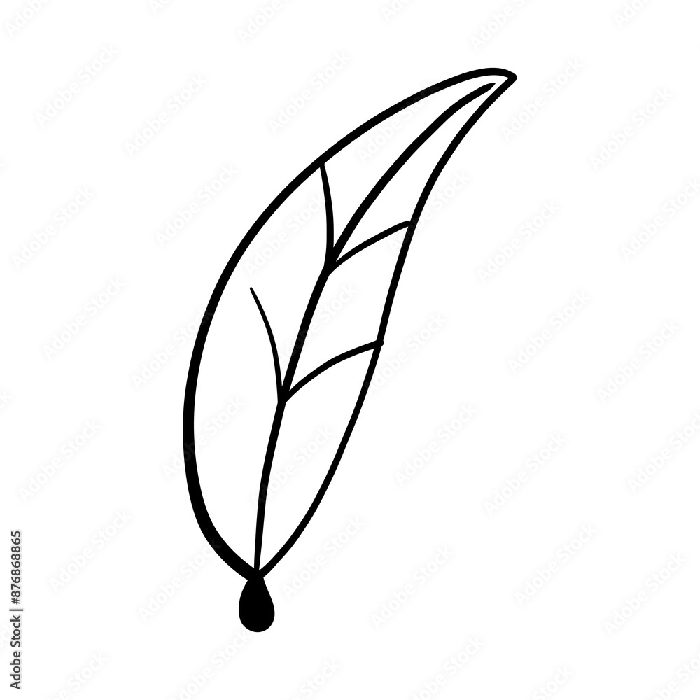 Leaf of autumn Leaf of autumn