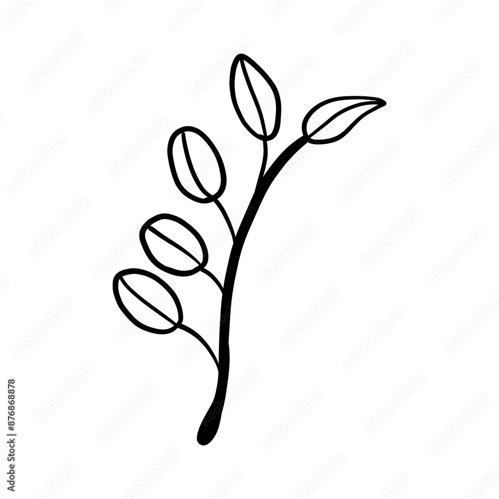 Obraz premium Leaf of a tree