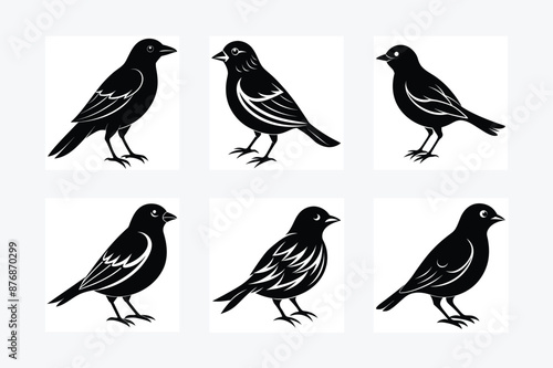 Silhouettes of birds vector illustration design © bizboxdesigner