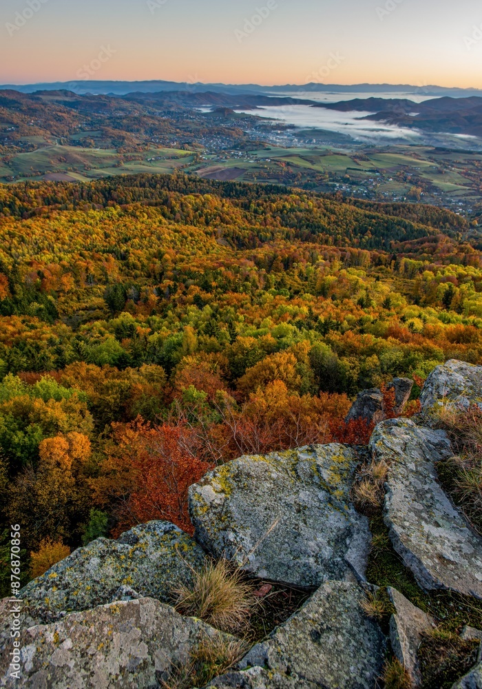 Φωτογραφία Sunrise landscape with high peaks and valley with autumn spruce forest under vibrant colorful evening sky in forest mountains