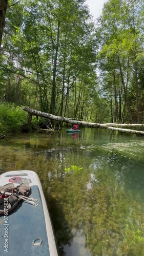 A walk along a beautiful and clear river on a SUP board. There are fallen trees and greenery around