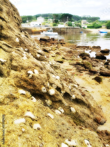 oysters on the rocks of Portocelo beach, low tide, Xove, Lugo, A Mariña, Galicia, Spain, with diffuser filter, photo