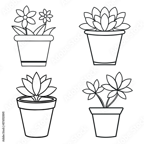 flowers in pots