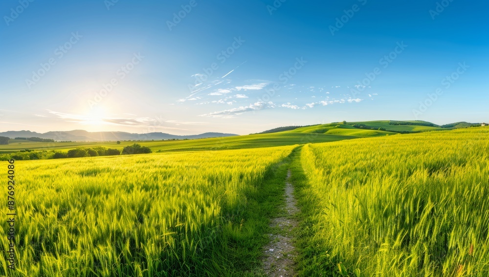 Scenic Landscape with Green Hills and a Dirt Path at Sunset Scenic Landscape with Green Hills and a Dirt Path at Sunset