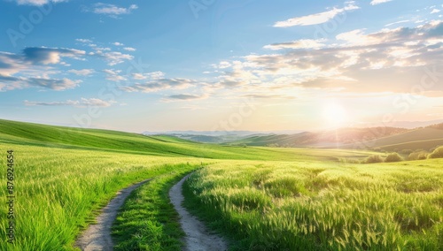 Scenic Landscape with Green Hills and a Dirt Path at Sunset
