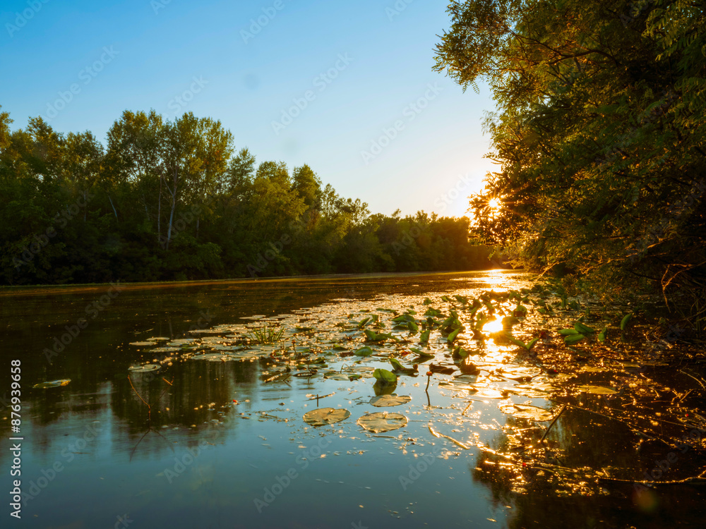 Fototapeta premium Forest landscape with a lake. Calm water in the lake.