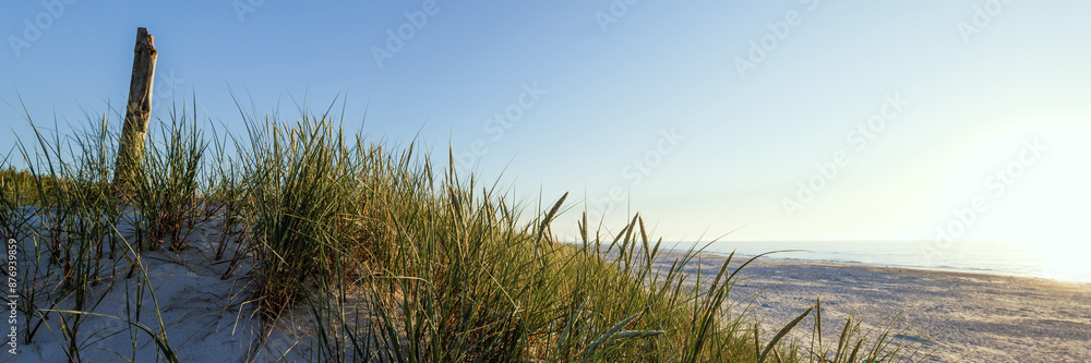 Banner showing a beautiful wide beach on the Baltic Sea at sunset. Grasses on the dune in the foreground. Slajszewo, Choczewo, Poland Banner showing a beautiful wide beach on the Baltic Sea at sunset. Grasses on the dune in the foreground. Slajszewo, Choczewo, Poland