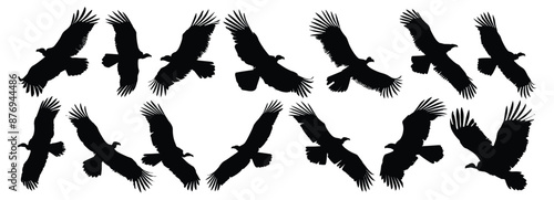 Vulture silhouette set vector design big pack of illustration and icon