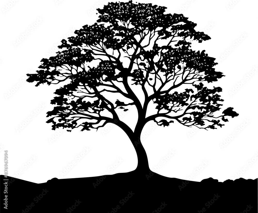 Obraz premium EPS Ash Deciduous Tree Silhouette Vector Art