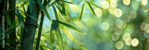 Majestic Bamboo Tree, Nature’s Towering Wonder