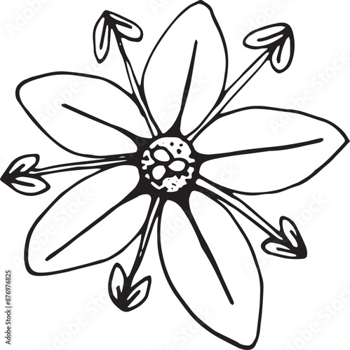 Cocoa flower