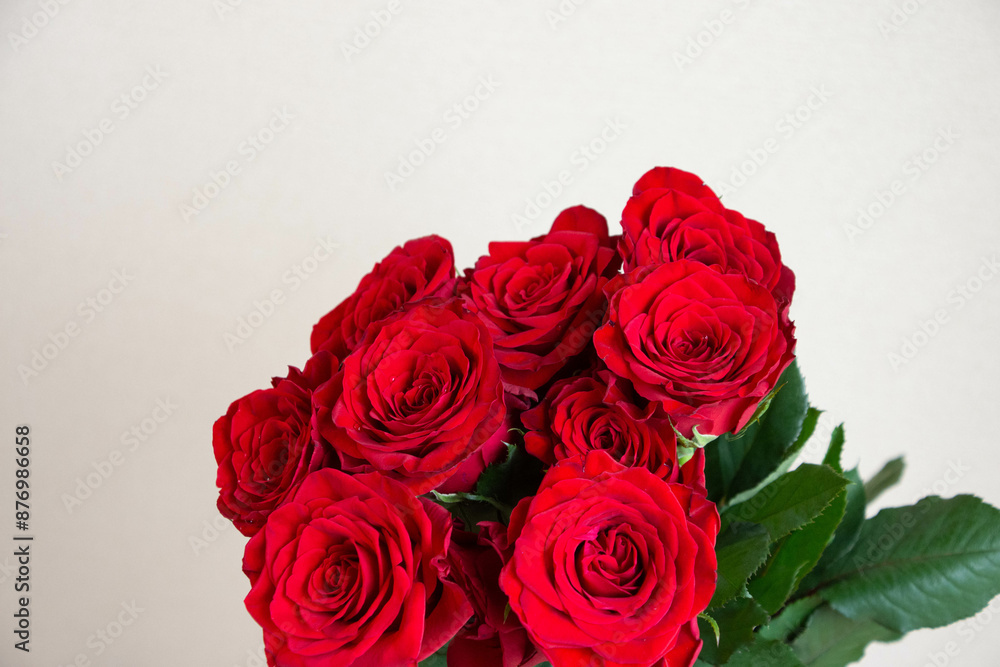 赤い薔薇 赤い薔薇