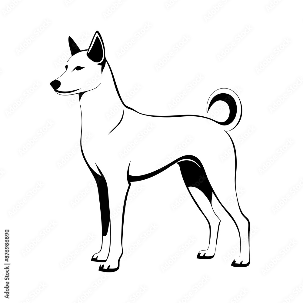 Canaan dog standing, curled tail, line drawing, transparent Canaan dog standing, curled tail, line drawing, transparent
