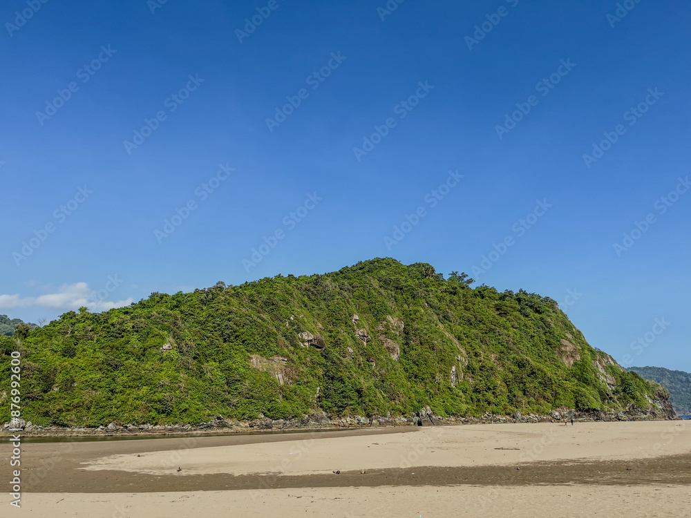 Fototapeta premium beach with palm trees