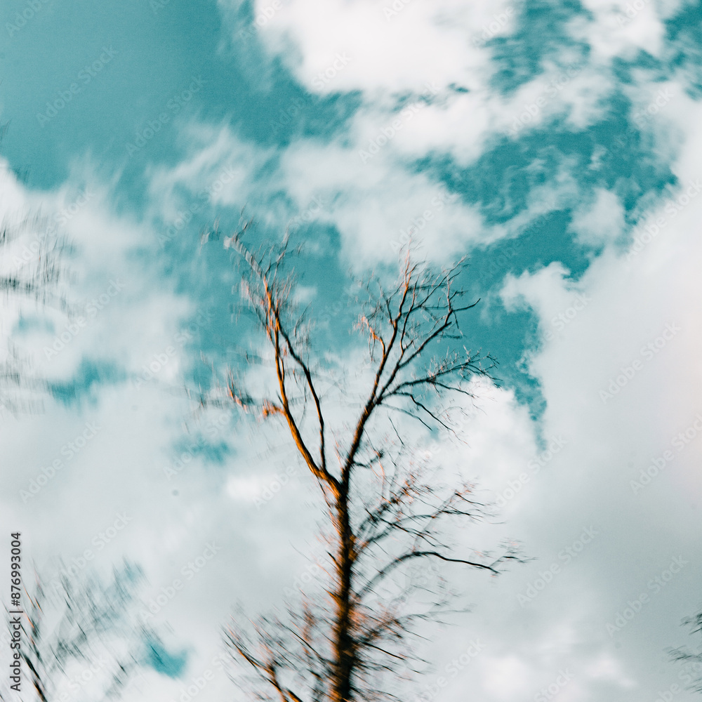 bare tree branches reaching towards the clouds against an aquamarine sky bare tree branches reaching towards the clouds against an aquamarine sky