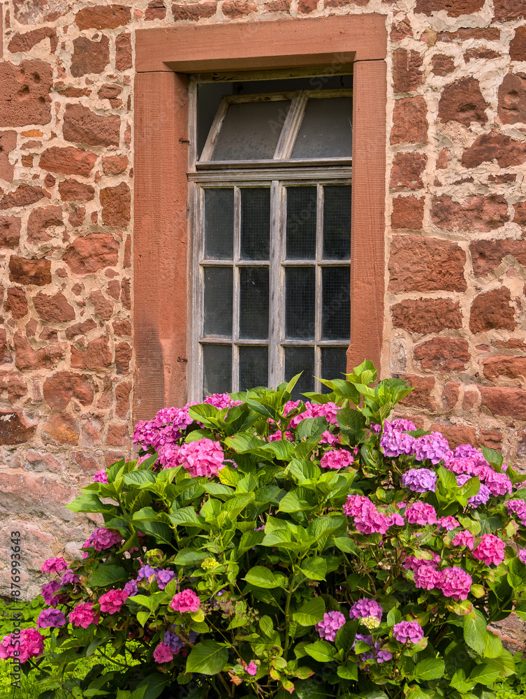 Blumenfenster Blumenfenster