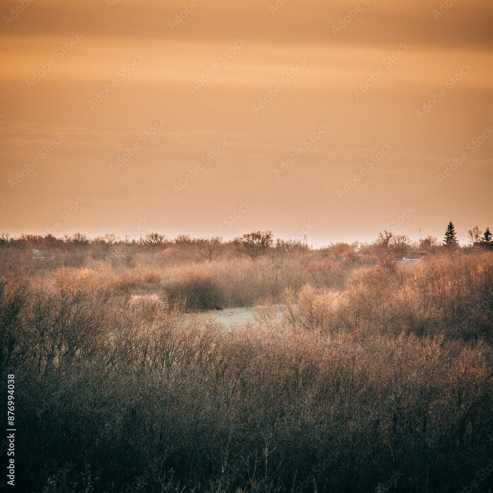 Obraz premium a green field surrounded by a forest with bare trees in the spring, during the golden hour, against the backdrop of an orange sky