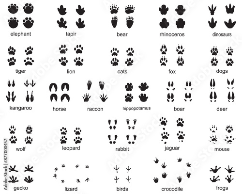 Set of wild animal footprints, illustration of black silhouettes