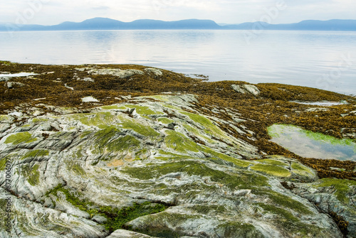 Saint-Lawrence River bank, Ile aux Lievres, Saint-Laurent river, Quebec province, Canada, North America photo