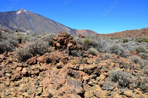 Scenic view of volcanic rock formations in desert during sunny day, Teide National Park, Tenerife photo