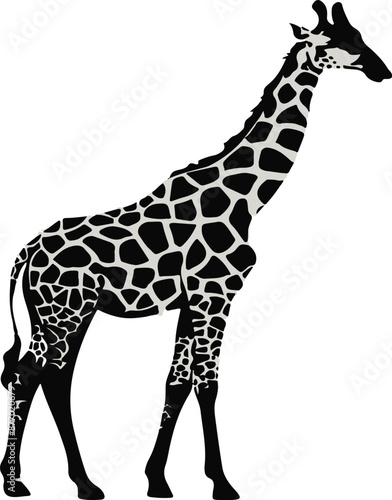With their towering necks and gentle eyes, giraffes roam the savannah like nature’s elegant giants. Their unique patterns and graceful strides make them a true symbol of wild beauty. 