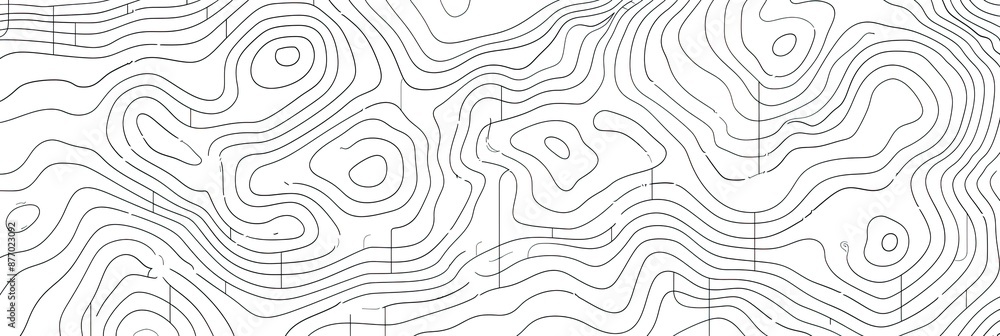 Obraz premium Contour Lines on White Background