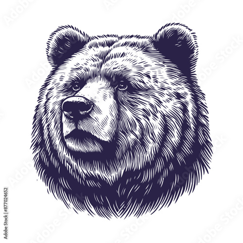 bear vector, bear silhouette