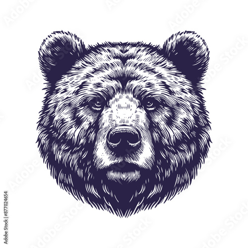 bear vector, bear silhouette