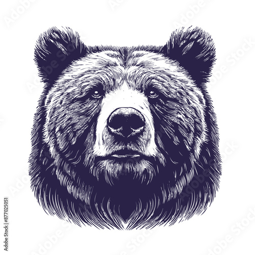 bear vector, bear silhouette