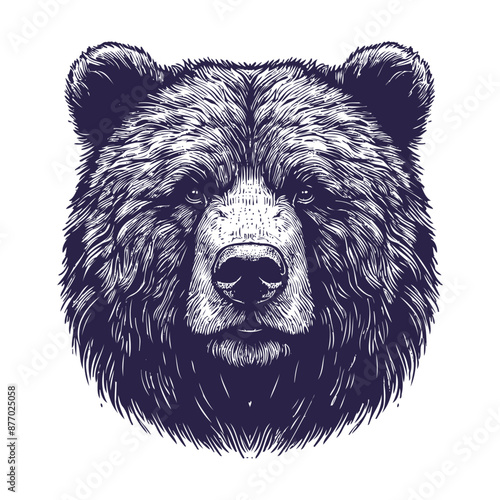 bear vector, bear silhouette