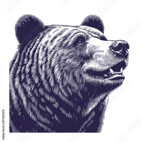 bear vector, bear silhouette