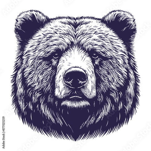 bear vector, bear silhouette
