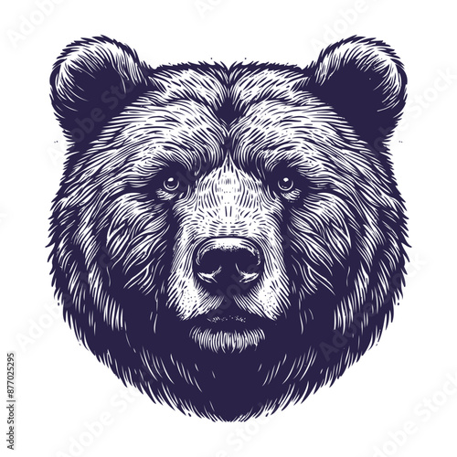 bear vector, bear silhouette