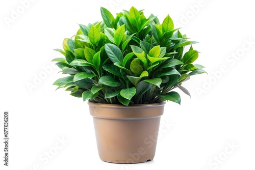 Vibrant artificial potted plant with realistic green leaves, perfect for home or office decoration and low maintenance interior design. transparent backgrounds