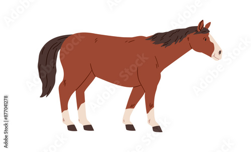 Draft work horse, side view. Farm stallion standing pose. Domestic animal, steed profile. Country agriculture breed, livestock wit tail and mane. Flat vector illustration isolated on white background