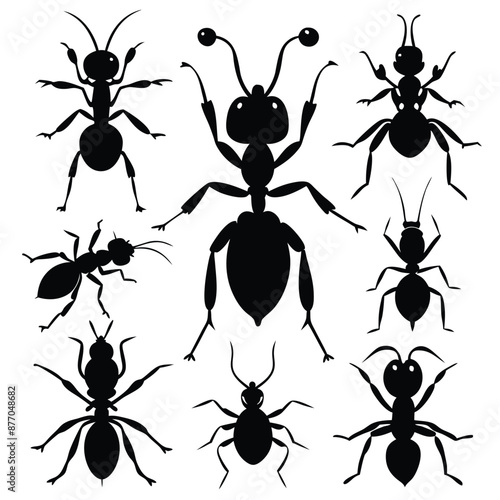 ant silhouettes set vector silhouette images , isolate white background