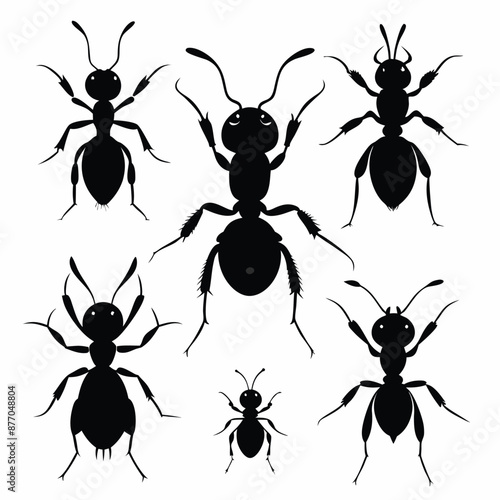 ant silhouettes set vector silhouette images , isolate white background