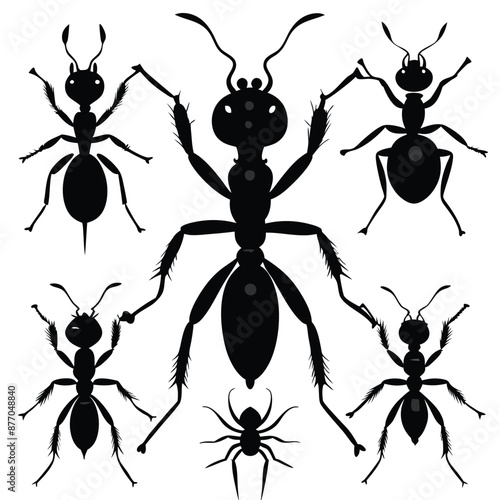 ant silhouettes set vector silhouette images , isolate white background