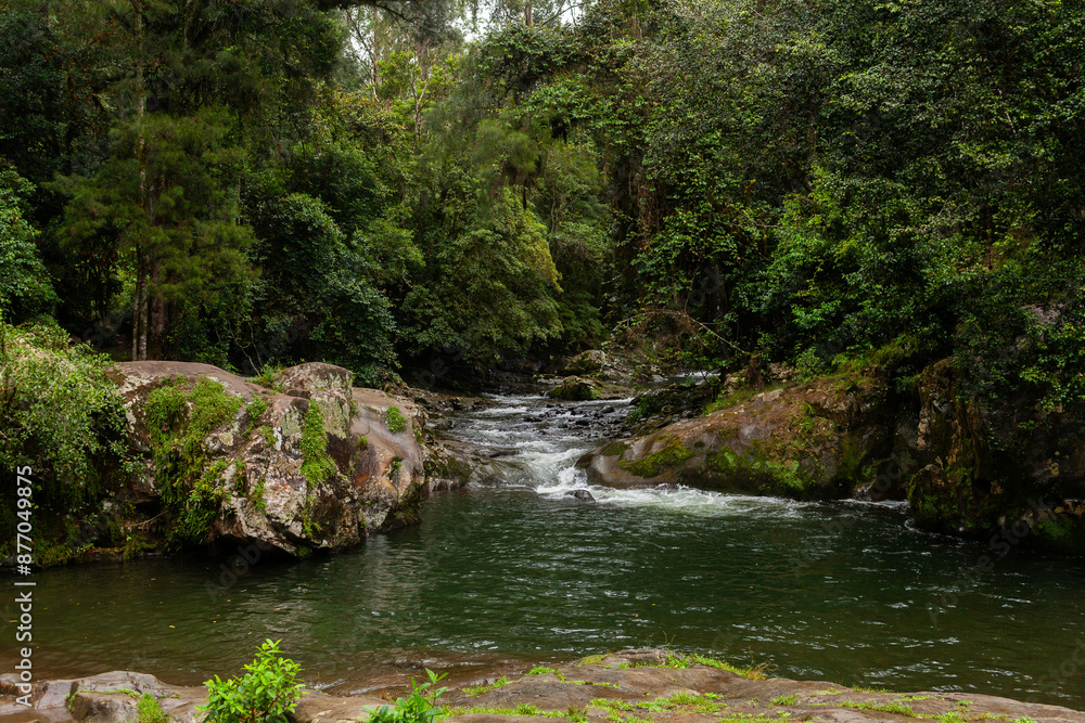 Green forest landscape with mountain river flowing past Green forest landscape with mountain river flowing past